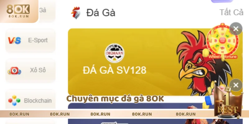 Sảnh đá gà trực tuyến đáng trải nghiệm