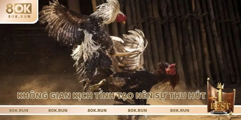 Không gian kịch tính tạo nên sự thu hút 