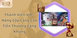 Thành Viên VIP - Nâng Cấp Càng Cao Tiền Thưởng Càng Khủng